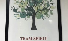 九游体育入口-比分背后的团队努力，赢得胜利的简单介绍