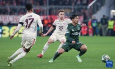 九游体育官方入口-德国横扫奥地利，晋级欧锦预赛淘汰赛的简单介绍