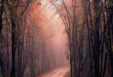 九游体育入口-66