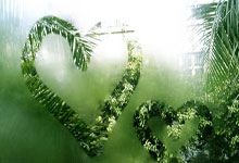 九游体育亚洲官网-里尔队再次在关键时刻取胜，积分榜上升至前列，里尔足球队