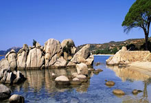 九游体育官方入口-多特客场绝杀，逆转击败不莱梅，多特vs不莱梅