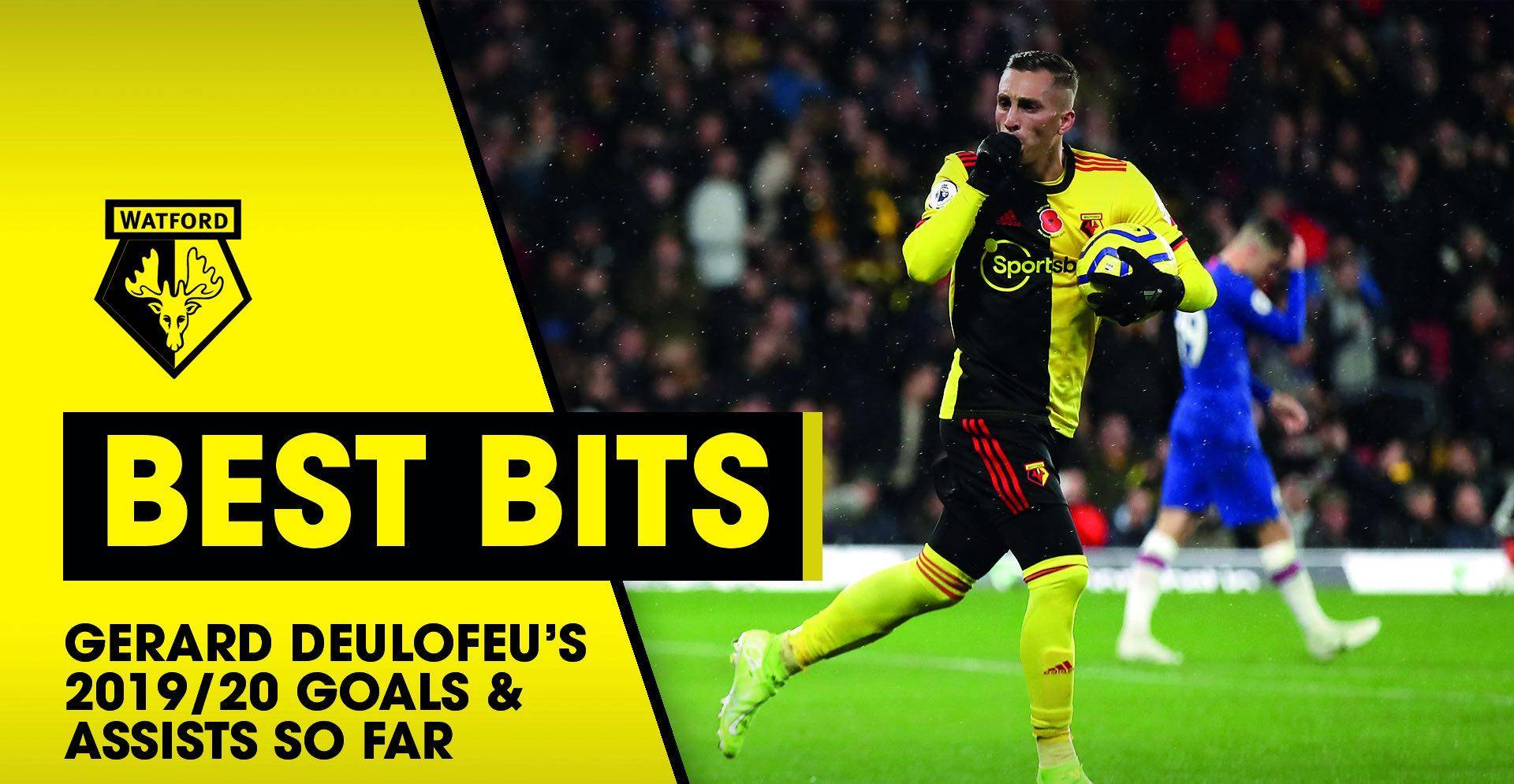 关于南安普顿战平沃特福德,积分榜第十二的信息 关于南安普顿战平沃特福德,积分榜第十二的信息