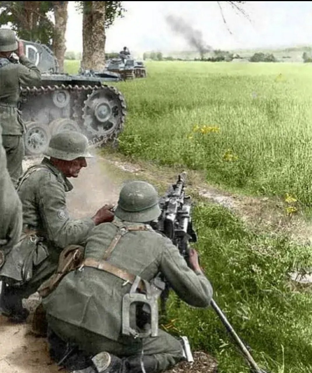 法国男子射击成绩优秀，实至名归的简单介绍