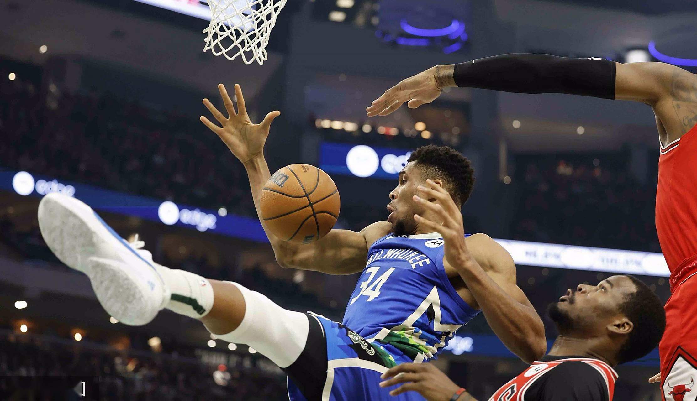 包含雄鹿惜败公牛，前路艰险之势难挡的词条