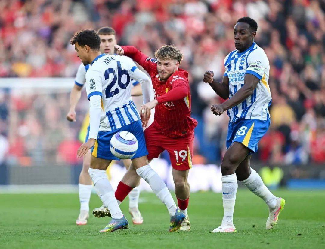 关于豪门球队在锦标赛中大放异彩，取得辉煌胜利的信息