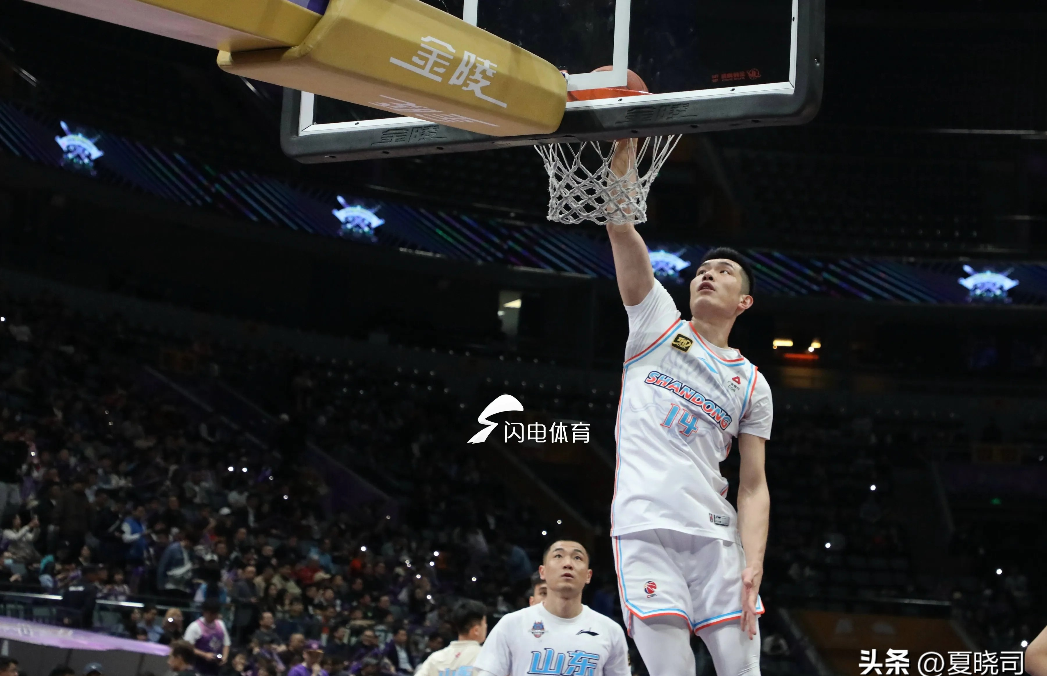 关于新签约球员或成关键力量，给球队增光的信息