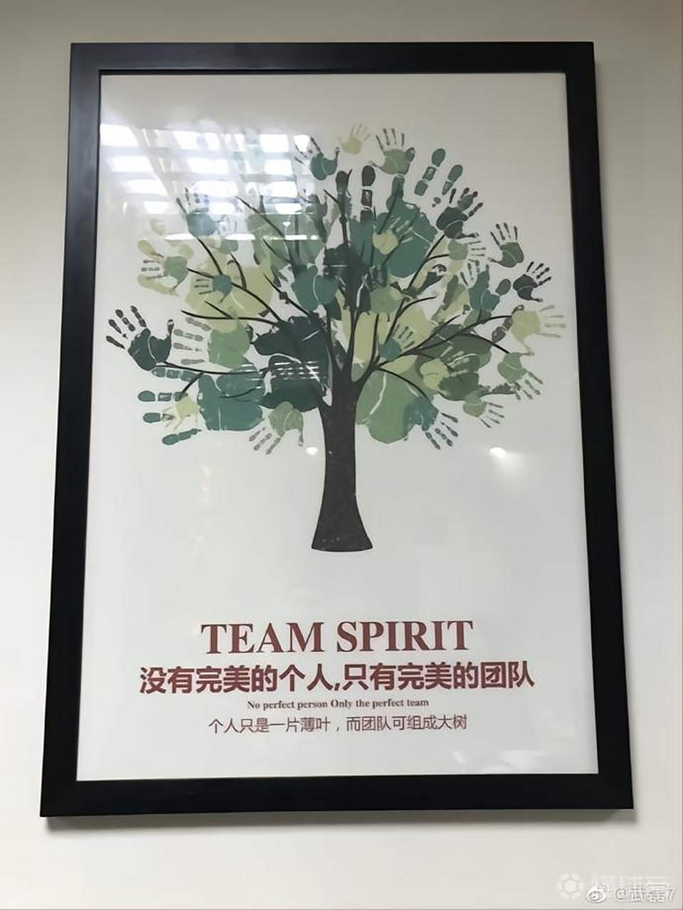 比分背后的团队努力，赢得胜利的简单介绍